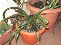 1a01ea8b-11.08.2009 002.jpg